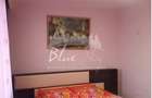 Inel 2 -Apartament 2 camere , centrala pe gaz , etaj interme - 10