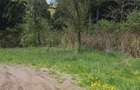 Vand teren impadurit - 6