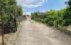 Casă cu 3 camere cu Teren 2200 Mp în Dealuri Oradea - 4