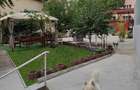 Casă individuală cu 10 camere cu Canalizare în Dristor - 1