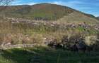 Teren de Vanzare in zona Peste Vale - 3