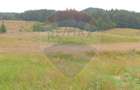 Teren de 20000 mp, în Dălghiu - 5 Teren de 20000 mp, în Dălghiu - 5
