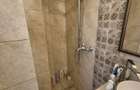 2 camere Cismigiu - Popa Tatu - 3