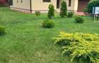 Casa de vanzare in Dumbravita - 3