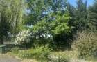 Vand Ferma in localitate Cenad DN6 - 1