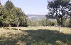 Teren de 3753 mp, în Central - 1