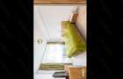 Vanatoare apartament 3 camere Coresi Casa Nobel - 2