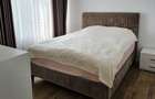 Baba Novac - Apartament frumos si luminos cu 2 camere - 4