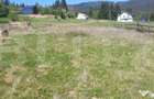 Teren intravilan, 979 mp, zona Plaiu Sarului - Vatra Dornei - 2