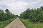 Teren 1250 mp Ciofliceni- Snagov - 1