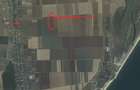 Teren agricol de 25000 mp, în Corbu - 1
