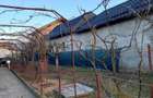 Vand casa si gradina - 3