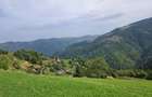 Teren intravilan de 2300 mp, în Măguri-Răcătău - 9