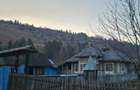 Casa de vanzare pe Valea Bistritei la strada, langa ?coala Pr. Pantei - 1