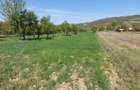 Teren 5,70 ha intravilan+extravilan, Vladimir-Andreesti , Jud.Gorj - 8