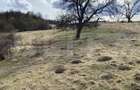 Teren extravilan in suprafata de 7500 mp la poalele Mesesulu - 8