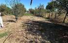 De vanzare casa la 5 min de Roman, suprafata teren 900 mp, 55.000 euro - 5