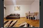 Apartament 1 camera Dristor - 4