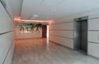 Platinum Business & Convention Center, Baneasa, 270 - 8746 mp  0% comision! - 14