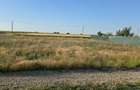 Proprietar Vand Teren Intravilan 500 mp Livada de Bihor Zona rezidentiala noua cu potential geotermal - 5