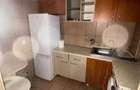 Apartament cu doua camere de inchiriat (piata Razboieni) - 6