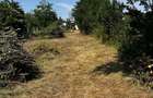 Casa de vanzare... Buzau Sat Zoita comuna Cuculeasa - 5