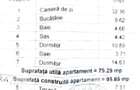 Apartament 3 camere Kiseleff- Piata Victoriei - 12