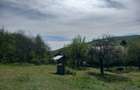 Teren spectaculos ,Porumbeni12.822 ha, livada,case ?i panorama superba - 5