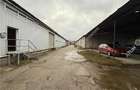 Hala industriala 1175 mp utili de vanzare in Cisnadie - 16