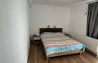 Apartament cu 2 camere de inchiriat in Zona Cetate, Alba Iulia - 7