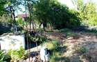 Vand casa in Com. Horia, jud. Constanta - 4