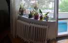 Apartament cu 3 camere decomandat în Grigorescu - 11
