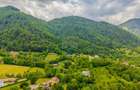 Teren intravilan de 1863 mp, în Tohănița - 12