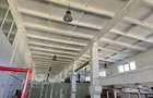 Dau in chirie Hala , SC-circa 350 mp , noua, ocupabila - 6