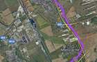 vand teren Pallady Glina pallady 353 loturi casa glina super pozitie zona rezidentiala - 1