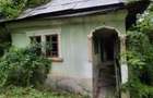 Vila, casa de vacanta, loc pitoresc, la Munte, Bradetu, Ag - 6