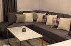 Apartament cu doua camere, regim vila, Central - 8