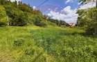 Comision 0%! Proprietate in natura, priveliste superba, S... - 5