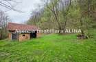 Teren intravilan 1.700 mp + 6.600 mp Padure de foioase + 1.200 mp Padure de foioase, Sat Nojag. - 2