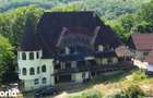 CASTEL DE VANZARE IN MARAMURES - 3