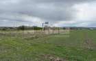 Teren extravilan | Horodnic de Sus zona Osoi | 50 de Ari - 3