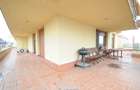 Penthouse elegant luminos 6 camere parc Herastrau - 17