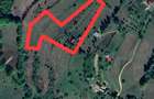 Casa locuibila + teren 8900 mp, utilita?i, anexa, livada-toate actele. - 10