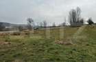 Teren extravilan 6200mp zona Rahau - 3