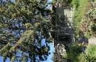 Casă cu 4 camere cu Teren 980 Mp în București - 1