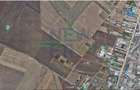 Teren Construcții extravilan de 6000 mp, în Palas - 1