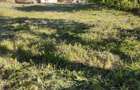 Teren intravilan Cluj Napoca cartierul Dambu Rotund 860m - 5