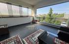 Domnesti Duplex 4 Camere 160 mp - 18