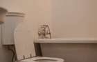 Apartament cu 2 camere semidecomandat în Vatra Luminoasă - 10