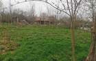 Teren intravilan de vanzare - 7